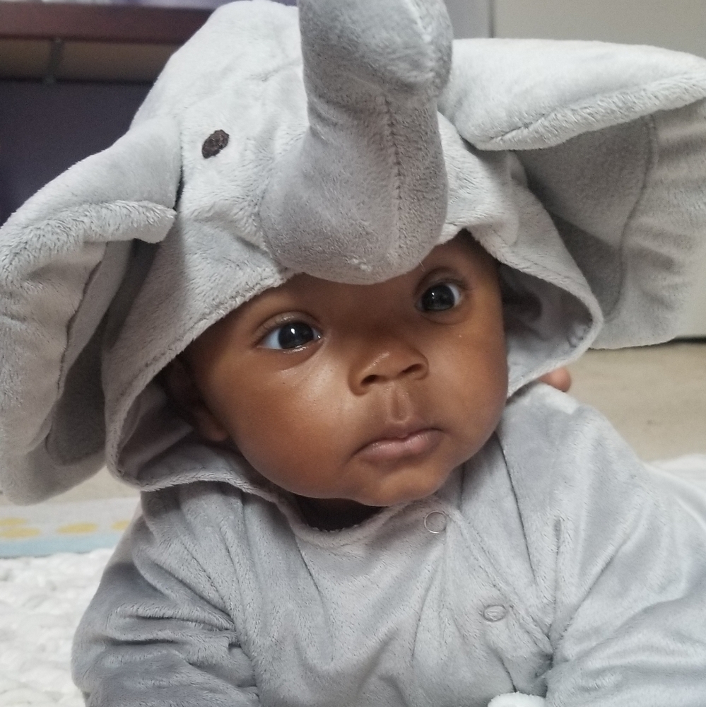 Pottery Barn Baby elephant costume